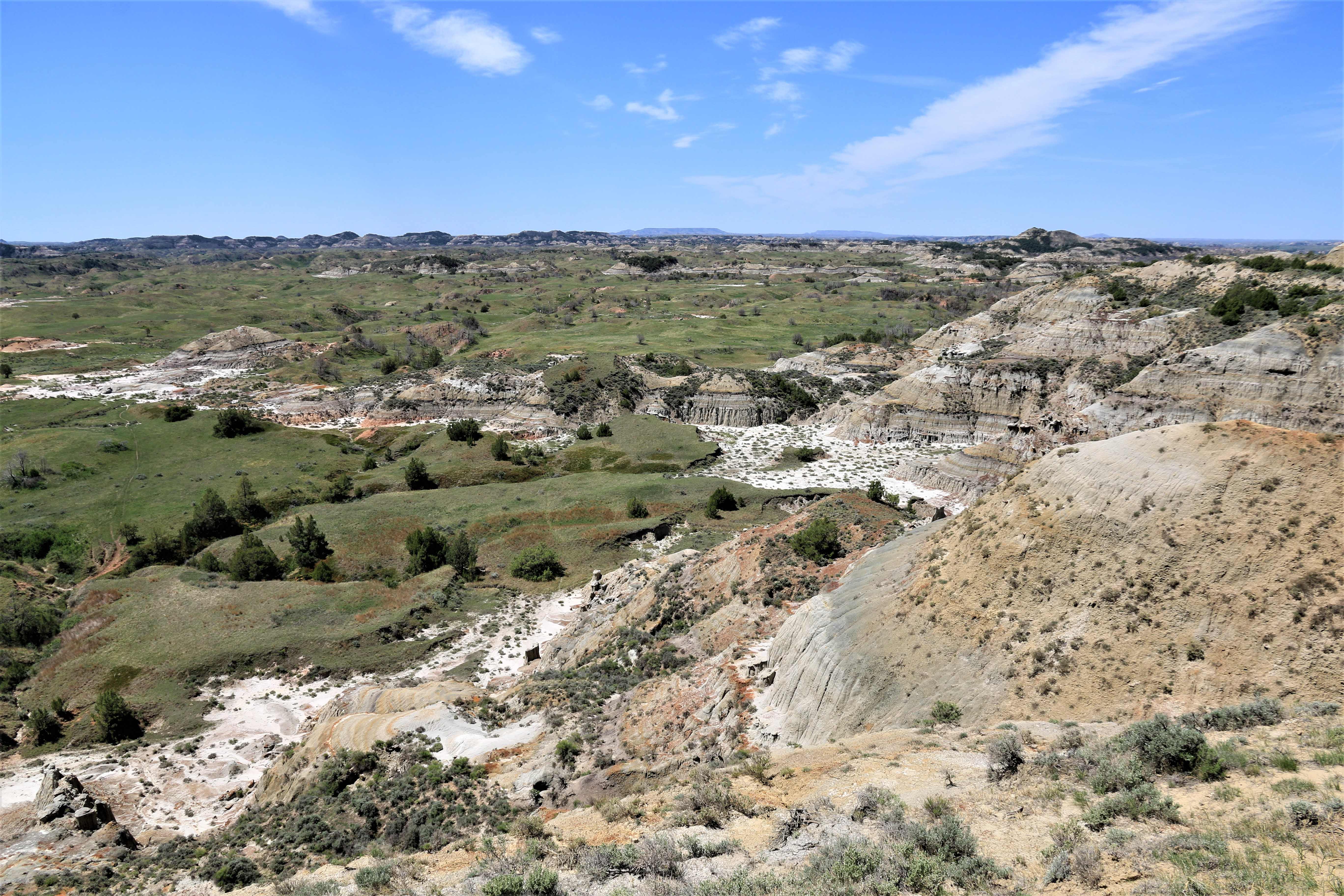 Theodore Roosevelt NP